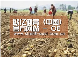 种植基地一