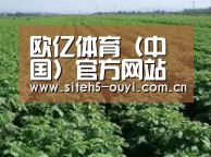 种植基地五(图1)