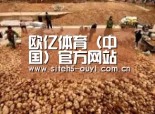 种植基地二