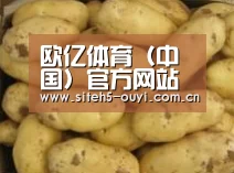 产品展示标题6