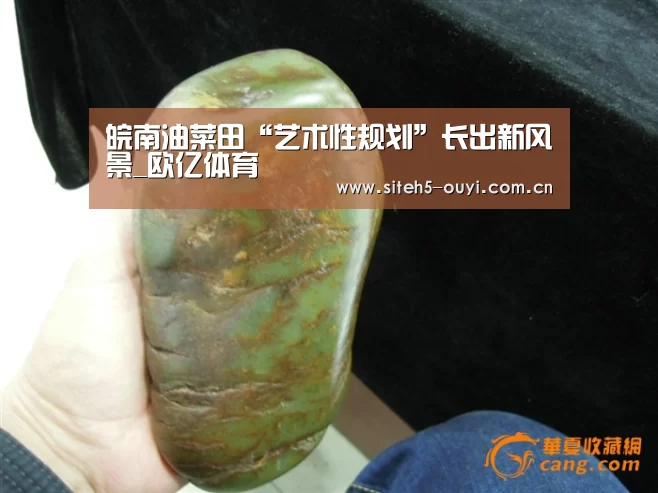 皖南油菜田“艺术性规划”长出新风景_欧亿体育(图1) 体育资讯