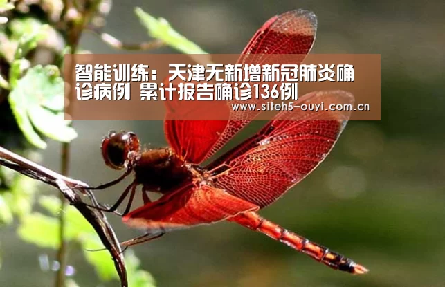 智能训练:天津无新增新冠肺炎确诊病例 累计报告确诊136例(图1) 欧亿体育